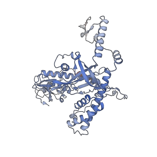 23157_7l48_A_v1-1
Cryo-EM structure of a CRISPR-Cas12f Binary Complex