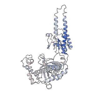 23157_7l48_B_v1-0
Cryo-EM structure of a CRISPR-Cas12f Binary Complex