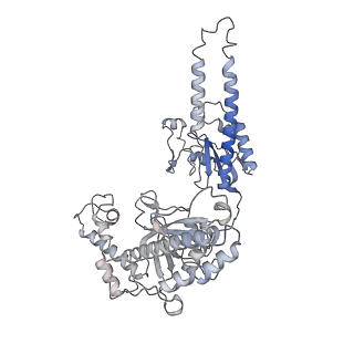 23157_7l48_B_v1-1
Cryo-EM structure of a CRISPR-Cas12f Binary Complex