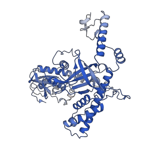 23158_7l49_A_v1-0
Cryo-EM structure of CRISPR-Cas12f Ternary Complex