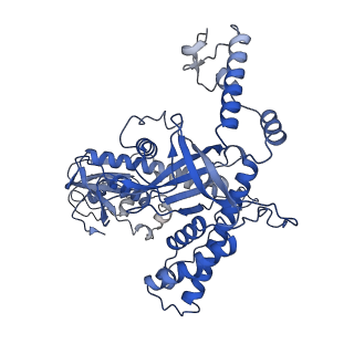 23158_7l49_A_v1-1
Cryo-EM structure of CRISPR-Cas12f Ternary Complex