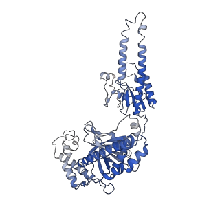23158_7l49_B_v1-0
Cryo-EM structure of CRISPR-Cas12f Ternary Complex