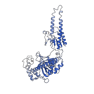 23158_7l49_B_v1-1
Cryo-EM structure of CRISPR-Cas12f Ternary Complex