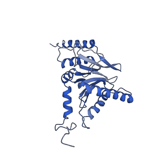 4002_5l4g_C_v1-3
The human 26S proteasome at 3.9 A