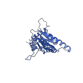 4002_5l4g_D_v1-3
The human 26S proteasome at 3.9 A