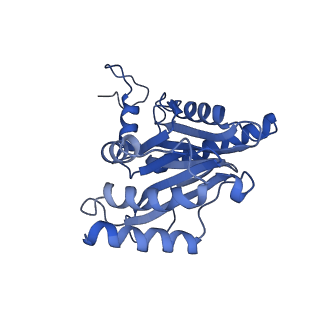 4002_5l4g_G_v1-3
The human 26S proteasome at 3.9 A
