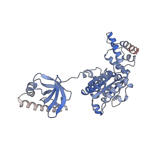 4002_5l4g_I_v1-3
The human 26S proteasome at 3.9 A