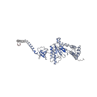 4002_5l4g_K_v1-3
The human 26S proteasome at 3.9 A
