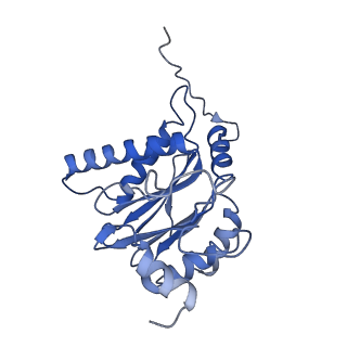4002_5l4g_O_v1-3
The human 26S proteasome at 3.9 A