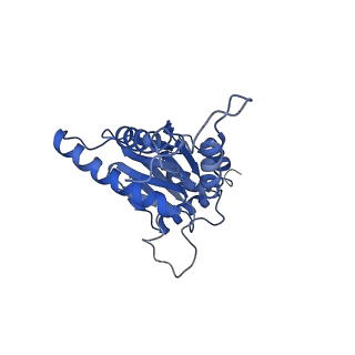 4002_5l4g_Q_v1-3
The human 26S proteasome at 3.9 A