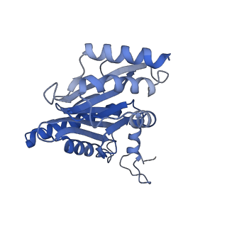 4002_5l4g_T_v1-3
The human 26S proteasome at 3.9 A
