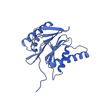 4002_5l4g_U_v1-3
The human 26S proteasome at 3.9 A