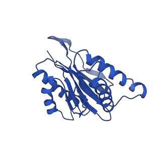 4002_5l4g_V_v1-3
The human 26S proteasome at 3.9 A