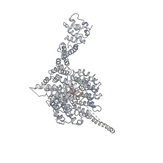 4002_5l4k_N_v1-3
The human 26S proteasome lid