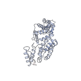4002_5l4k_O_v1-3
The human 26S proteasome lid
