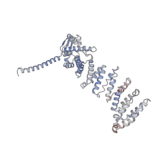 4002_5l4k_P_v1-3
The human 26S proteasome lid