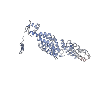 4002_5l4k_Q_v1-3
The human 26S proteasome lid