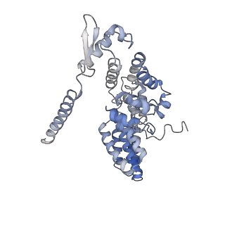 4002_5l4k_R_v1-3
The human 26S proteasome lid