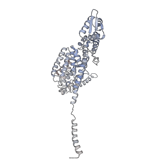 4002_5l4k_S_v1-3
The human 26S proteasome lid