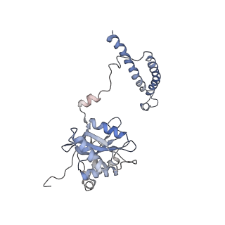 4002_5l4k_V_v1-3
The human 26S proteasome lid