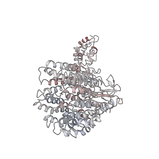 4002_5l4k_Z_v1-3
The human 26S proteasome lid