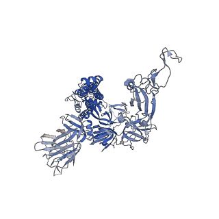 23165_7l56_A_v1-2
Cryo-EM structure of the SARS-CoV-2 spike glycoprotein bound to Fab 2-43