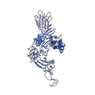 23165_7l56_B_v1-2
Cryo-EM structure of the SARS-CoV-2 spike glycoprotein bound to Fab 2-43