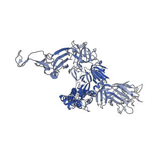 23165_7l56_C_v1-2
Cryo-EM structure of the SARS-CoV-2 spike glycoprotein bound to Fab 2-43