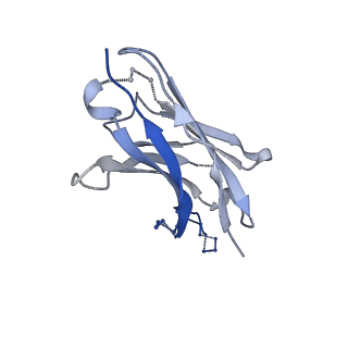 23165_7l56_F_v1-2
Cryo-EM structure of the SARS-CoV-2 spike glycoprotein bound to Fab 2-43