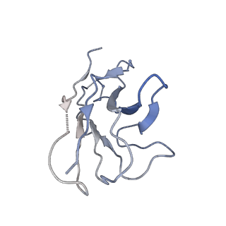 23165_7l56_G_v1-2
Cryo-EM structure of the SARS-CoV-2 spike glycoprotein bound to Fab 2-43