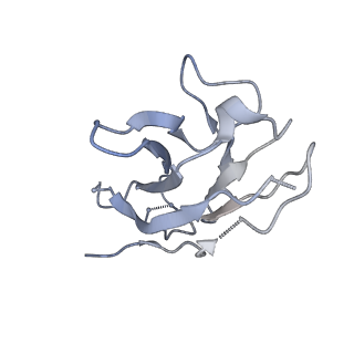 23165_7l56_K_v1-2
Cryo-EM structure of the SARS-CoV-2 spike glycoprotein bound to Fab 2-43