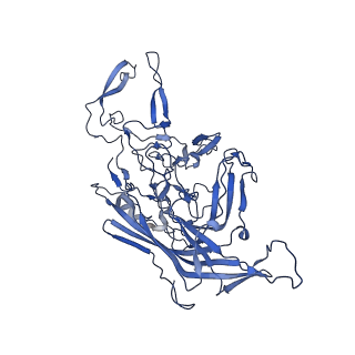 23189_7l5q_5_v1-1
The empty AAV7 capsid