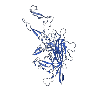 23189_7l5q_F_v1-1
The empty AAV7 capsid