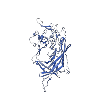 23189_7l5q_O_v1-1
The empty AAV7 capsid