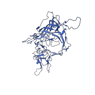 23189_7l5q_V_v1-1
The empty AAV7 capsid