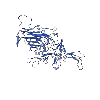 23189_7l5q_W_v1-1
The empty AAV7 capsid