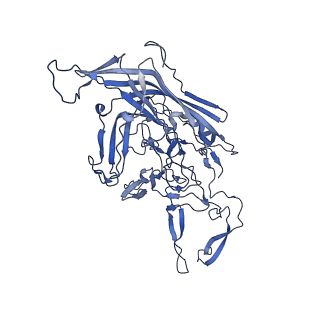 23189_7l5q_j_v1-1
The empty AAV7 capsid