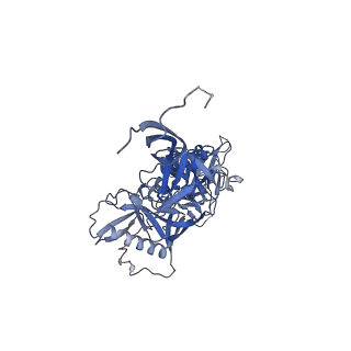 23124_7l6o_a_v1-2
Cryo-EM structure of HIV-1 Env CH848.3.D0949.10.17chim.6R.DS.SOSIP.664