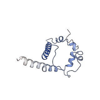 23124_7l6o_d_v1-2
Cryo-EM structure of HIV-1 Env CH848.3.D0949.10.17chim.6R.DS.SOSIP.664