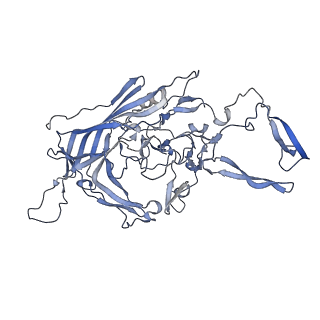 23200_7l6a_1_v1-1
The genome-containing AAV12 capsid