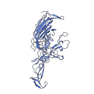 23200_7l6a_2_v1-0
The genome-containing AAV12 capsid