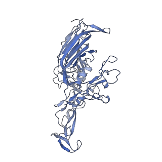 23200_7l6a_2_v1-1
The genome-containing AAV12 capsid