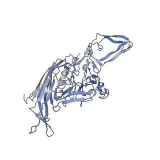 23200_7l6a_4_v1-0
The genome-containing AAV12 capsid
