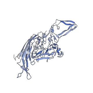 23200_7l6a_4_v1-1
The genome-containing AAV12 capsid