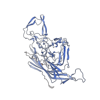 23200_7l6a_5_v1-1
The genome-containing AAV12 capsid