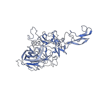 23200_7l6a_6_v1-1
The genome-containing AAV12 capsid