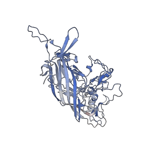 23200_7l6a_7_v1-1
The genome-containing AAV12 capsid