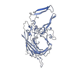 23200_7l6a_8_v1-1
The genome-containing AAV12 capsid