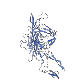 23200_7l6a_A_v1-1
The genome-containing AAV12 capsid