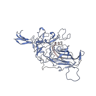 23200_7l6a_D_v1-0
The genome-containing AAV12 capsid